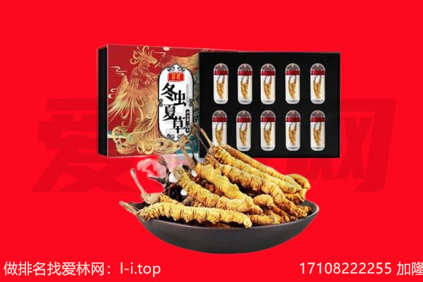 衡水武强县回收虫草.jpg